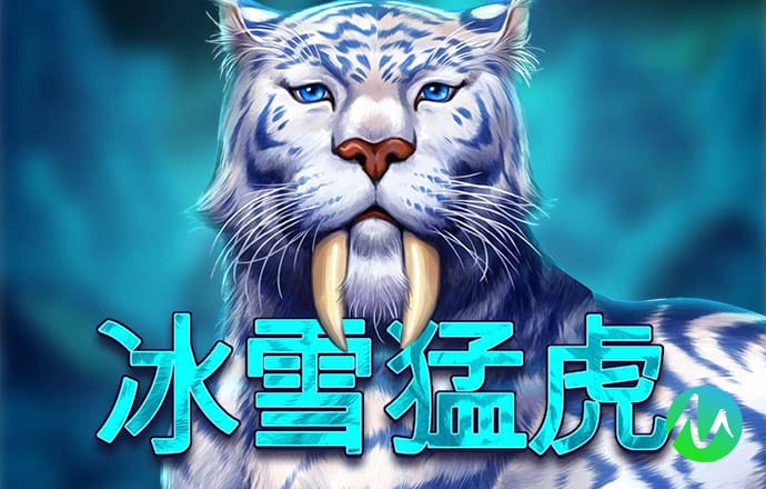 355最新版本彩票